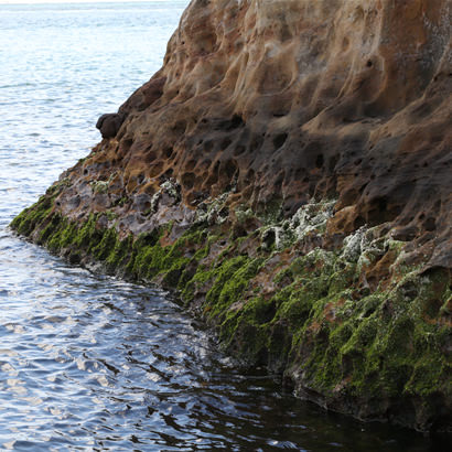 長い年月をかけて波に削られた美しく神秘的な岩肌